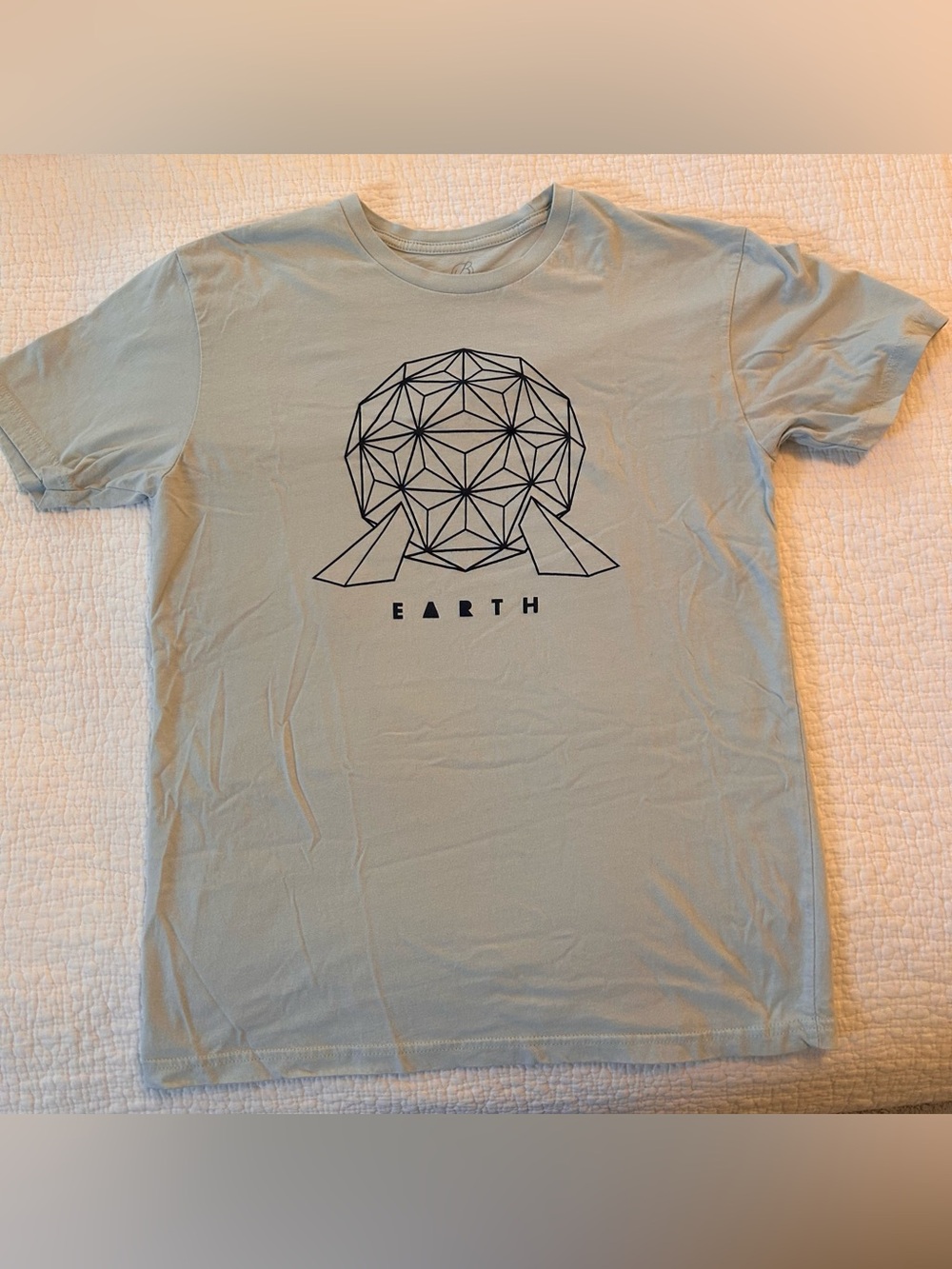 EPCOT - Earth Graphic Crewneck T-Shirt in Light Sage with blue lines- large